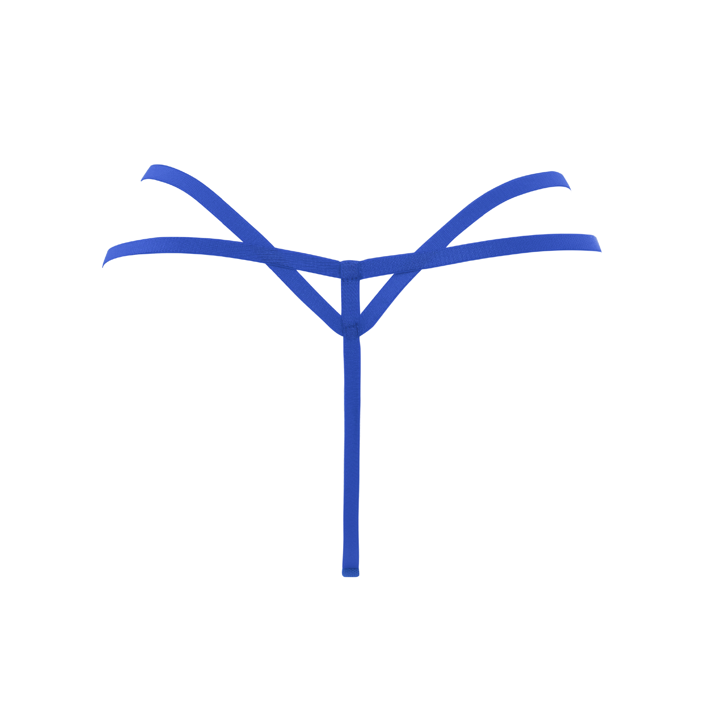 Brielle G-String Cobalt Back